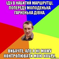 іду в набитий маршрутці, попереду молоденька гарненька дівка. вибачте, але я не можу контролювати мою кобру.