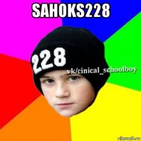 sahoks228 