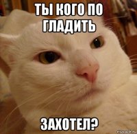 ты кого по гладить захотел?