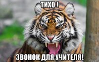 тихо ! звонок для учителя!