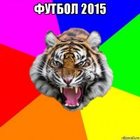 футбол 2015 