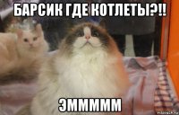 барсик где котлеты?!! эммммм