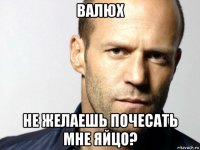 валюх не желаешь почесать мне яйцо?