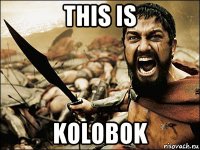 this is kolobok