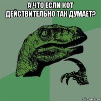 а что если кот действительно так думает? 