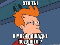 это ты к моей лошадке подошёл ?