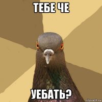 тебе че уебать?