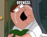 openssl 