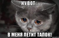 ну вот... в меня летит тапок!