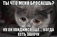 ты что меня бросаешь? ну ок увидимся ещё.... когда есть захочу