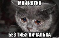 мой котик без тибя пичалька