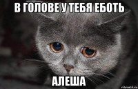 в голове у тебя еботь алеша