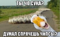 ты чо сука? думал спрячешь чипсы?