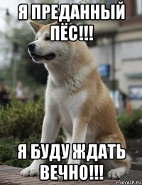 я преданный пёс!!! я буду ждать вечно!!!