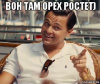 вон там орех ростет) 