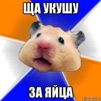 ща укушу за яйца