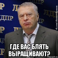  где вас блять выращивают?