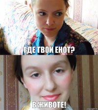 где твой енот? в животе!