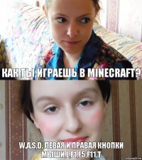 Как ты играешь в Minecraft? W,A,S,D, Левая и правая кнопки мыши,E,F1,F5,F11,T