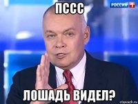 пссс лошадь видел?