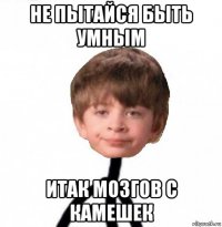 не пытайся быть умным итак мозгов с камешек