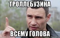 троллебузина всему голова