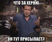 что за херню он тут присылает?