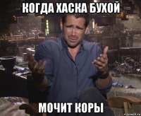 когда хаска бухой мочит коры