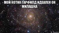 мой котик гарфилд идеален он милашка 