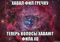 хавал фил гречку теперь волосы хавают фила xd