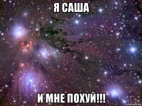 я саша и мне похуй!!!