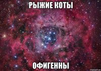 рыжие коты офигенны