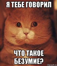 я тебе говорил что такое безумие?