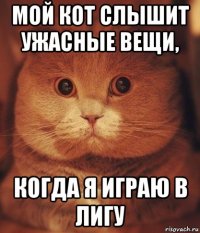 мой кот слышит ужасные вещи, когда я играю в лигу