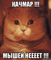 качмар !!! мышей неееет !!!