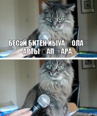 Бесәй битен йыуа ҡолаҡ арты ҡап ҡара. 