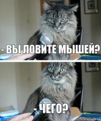 - Вы ловите мышей? - Чего?