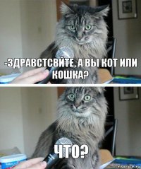 -Здравстсвйте, а вы кот или кошка? что?