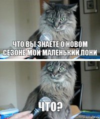 Что вы знаете о новом сезоне мой маленький пони Что?