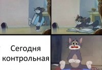 Сегодня контрольная