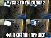 муся это ты голая? фак! хозяин пришел