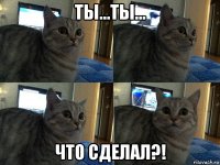 ты...ты... что сделал?!