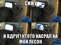 сижу и вдруг! ктото насрал на мой песок