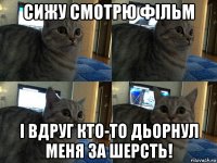 сижу смотрю фільм і вдруг кто-то дьорнул меня за шерсть!