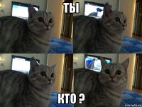 ты кто ?