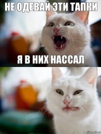 Не одевай эти тапки Я в них нассал