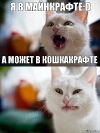 я в майнкрафте:D а может в кошкакрафте