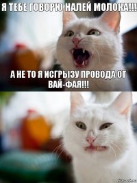 Я тебе говорю налей молока!!! А не то я исгрызу провода от вай-фая!!!