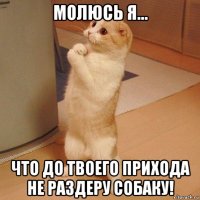 молюсь я... что до твоего прихода не раздеру собаку!