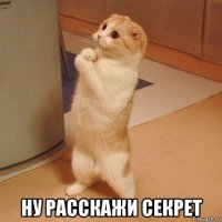  ну расскажи секрет